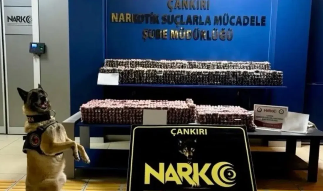 Çankırı Emniyet Müdürlüğü ekiplerince gerçekleştirilen dev operasyonda piyasa değeri yaklaşık