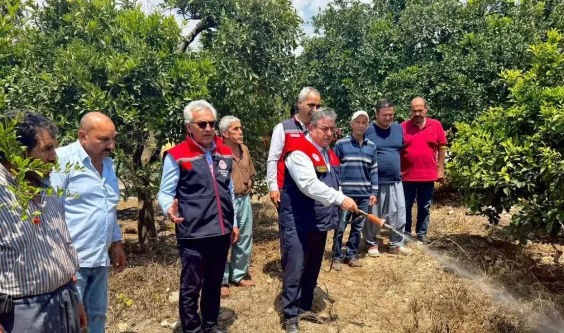 Mersin’de tarımsal üretimin en büyük tehditlerinden biri olan Akdeniz meyve
