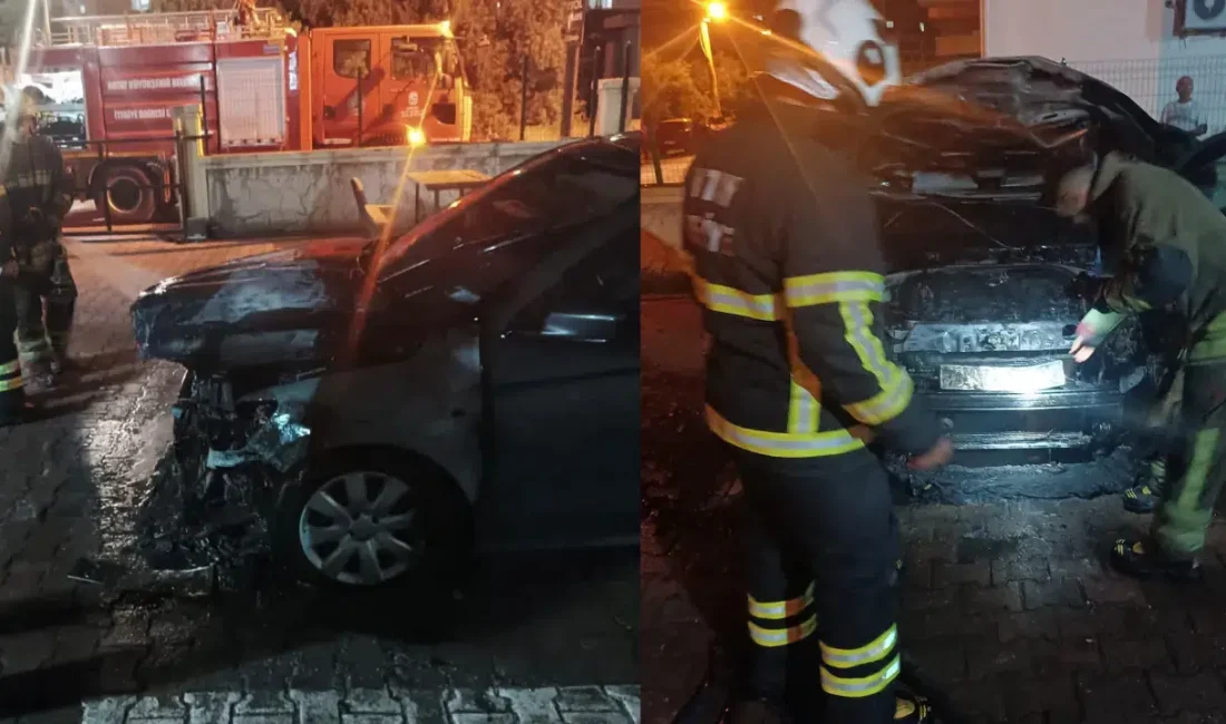 Hatay’ın Dörtyol ilçesinde park halindeki bir otomobilin motor kısmından aniden