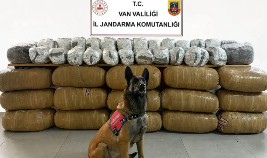 Van’da jandarma ekiplerinin titizlikle yürüttüğü uyuşturucu operasyonunda, piyasa değeri dudak