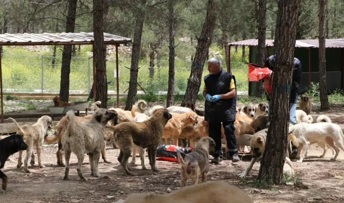 Kilis’te Valilik ve Belediye ortaklığıyla hayata geçirilen dev proje, sokak