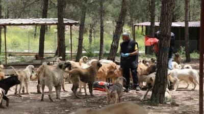 Kilis’te Valilik ve Belediye ortaklığıyla hayata geçirilen dev proje, sokak