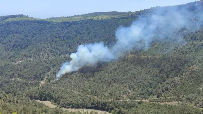 Mersin’in Erdemli ilçesinde ormanlık alanda başlayan ve paniğe neden olan