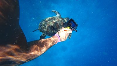 Aksiyon kameralarının öncü markası GoPro, üst üste gelen mali krizlerin