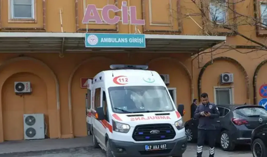 Mardin’in Artuklu ilçesinde meydana gelen feci kazada, amcasının kullandığı otomobilin