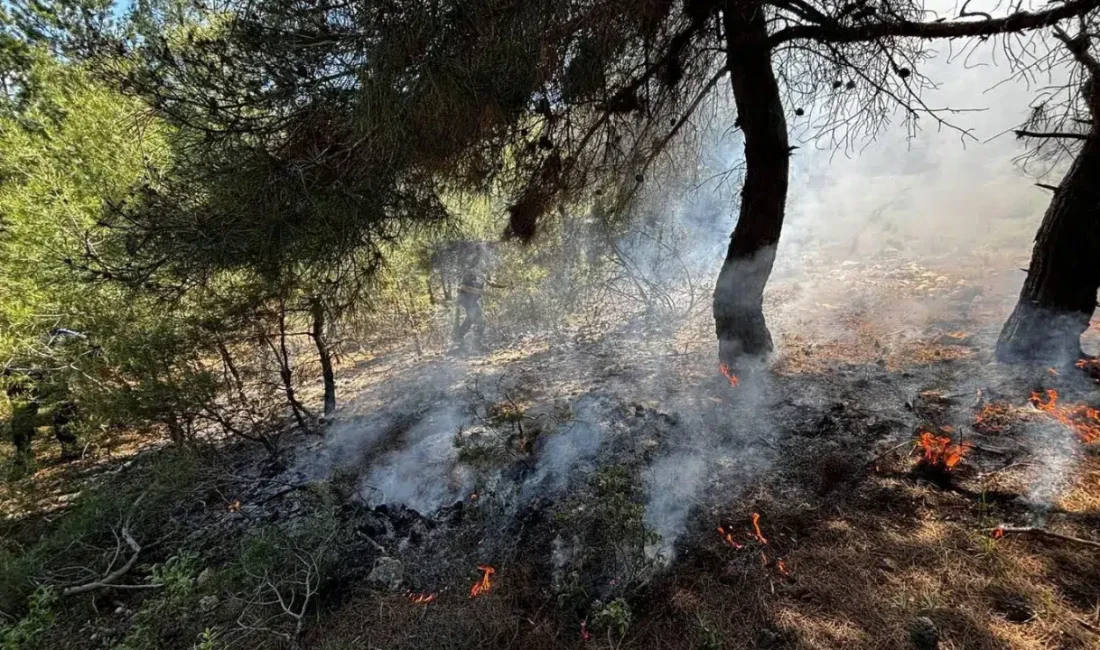 Bilecik’in Osmaneli ilçesinde yeşil örtüyü tehdit eden alevler jandarmanın dikkati