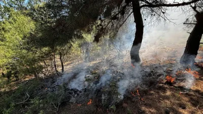 Bilecik’in Osmaneli ilçesinde yeşil örtüyü tehdit eden alevler jandarmanın dikkati