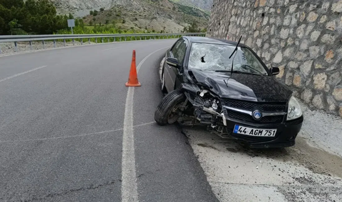 Malatya’da seyir halindeki bir otomobilin direksiyon hakimiyetini kaybederek yol kenarındaki
