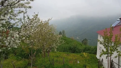 Sakarya’nın Hendek ilçesinde yüksek kesimleri etkisi altına alan yoğun sis,