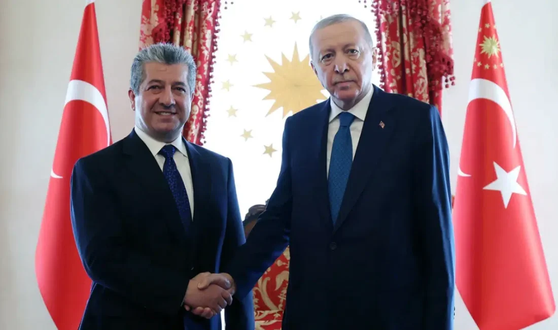 Cumhurbaşkanı Recep Tayyip Erdoğan, Irak Kürt Bölgesel Yönetimi (IKBY) Başbakanı