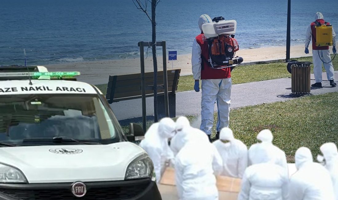 gövdesine dokunmadan yalnız deriye en yakın yerden tırnaklarımızla da olabilir