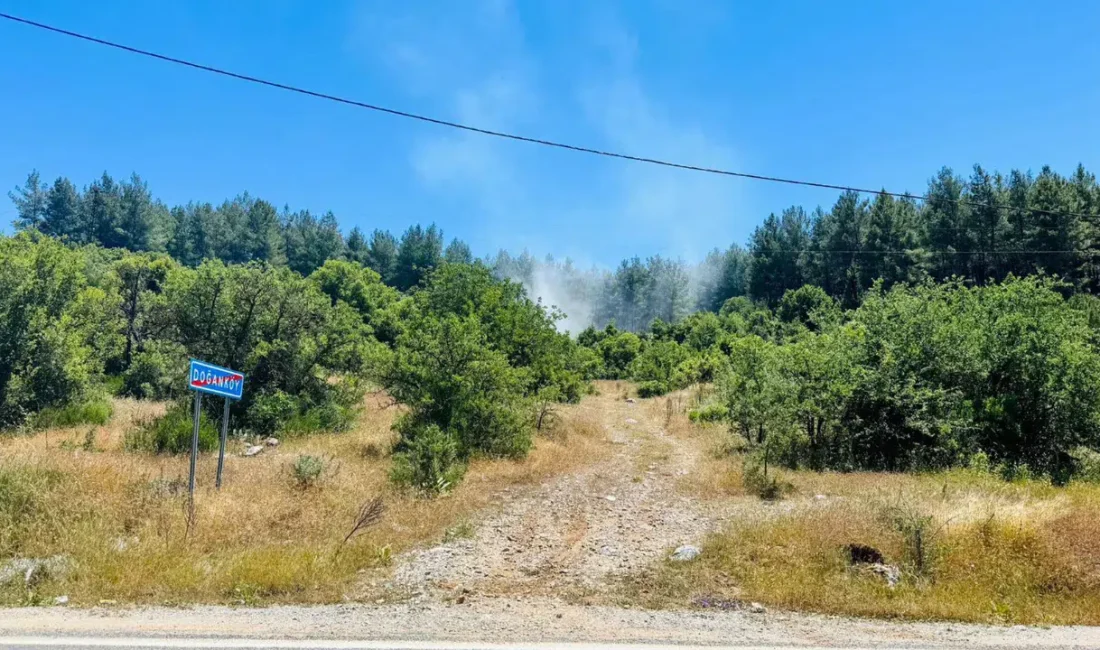 Muğla’nın Menteşe ilçesinde ormanlık alanda yükselen alevler büyük hareketliliğe neden