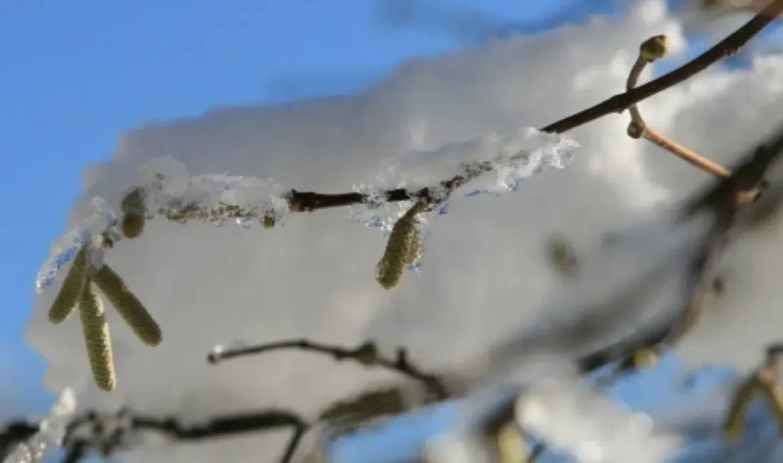 Meteoroloji Bölge Müdürlüğü tarafından yapılan son değerlendirmelere göre Kayseri genelinde