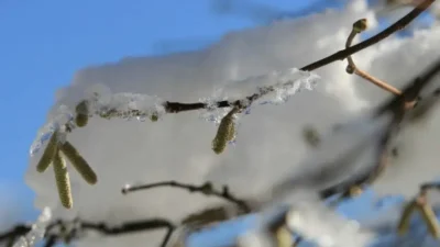 Meteoroloji Bölge Müdürlüğü tarafından yapılan son değerlendirmelere göre Kayseri genelinde