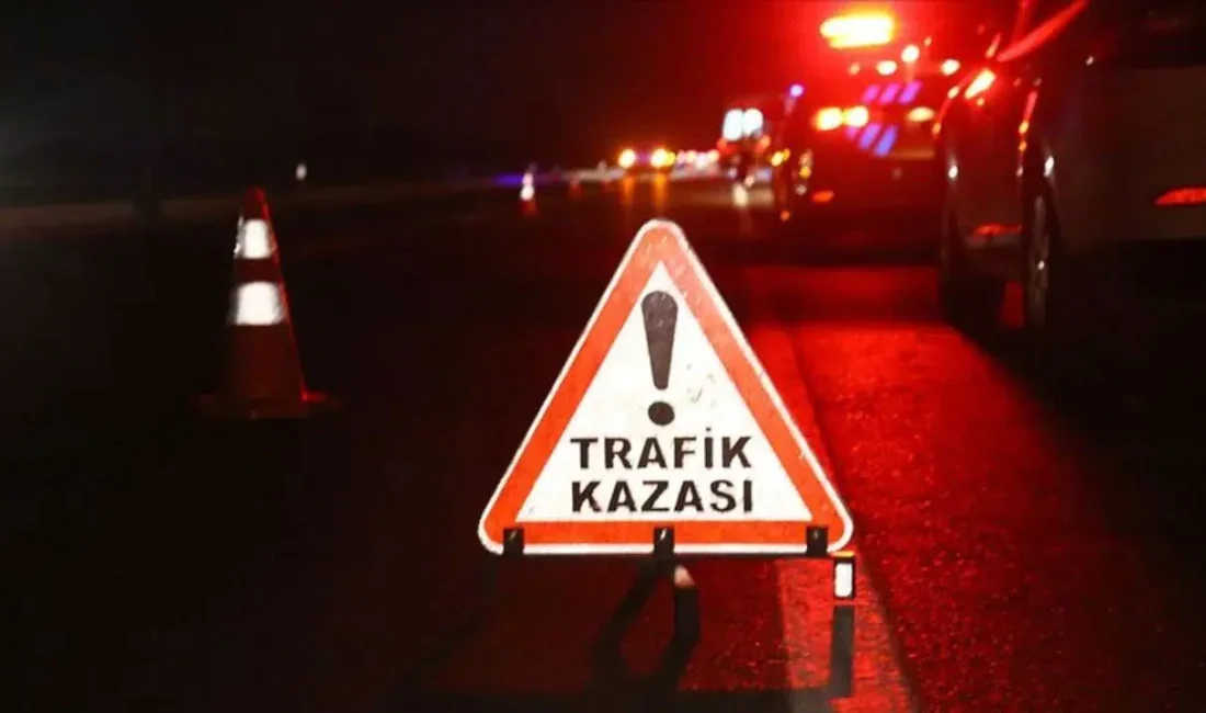 Manisa’nın Sarıgöl ilçesinde bağ içerisinde rutin tarımsal faaliyetlerini gerçekleştiren 80