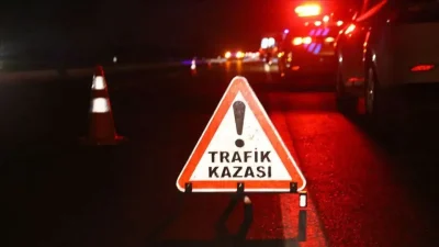 Manisa’nın Sarıgöl ilçesinde bağ içerisinde rutin tarımsal faaliyetlerini gerçekleştiren 80