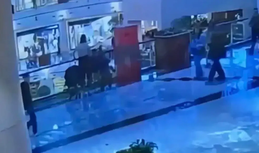 Sarıyer’de bir alışveriş merkezinde çocuklarıyla vakit geçiren bir annenin bebek
