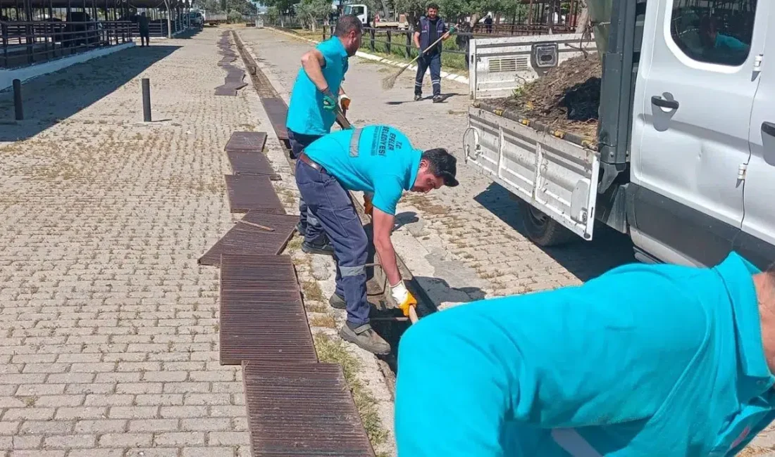 Kurban Bayramı’na sayılı günler kala Efeler Belediyesi ekipleri harekete geçti;