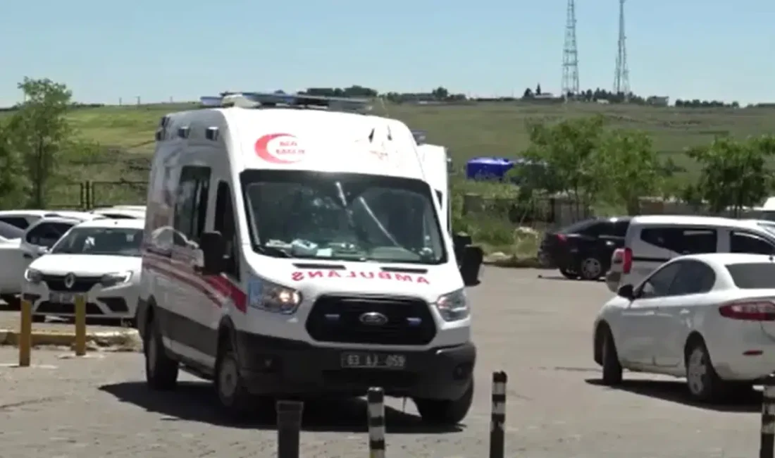 Şanlıurfa’nın Siverek ilçesinde evine giren yılanı öldürmek isteyen bir kişinin
