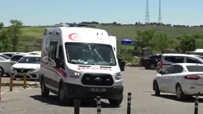 Şanlıurfa’nın Siverek ilçesinde evine giren yılanı öldürmek isteyen bir kişinin