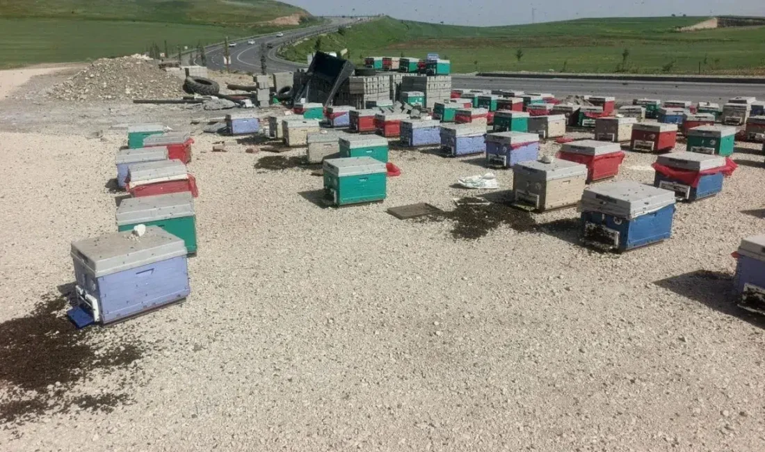 Batman’da yayla yolculuğuna çıkan arıcıların aracı arızalanınca ortalık bir anda