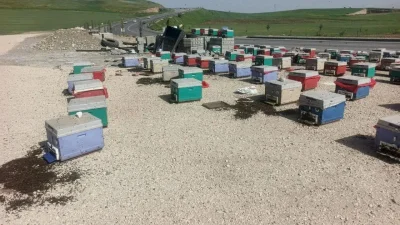 Batman’da yayla yolculuğuna çıkan arıcıların aracı arızalanınca ortalık bir anda
