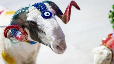 Milyonlarca vatandaşın büyük bir heyecanla beklediği 2026 Kurban Bayramı tatili