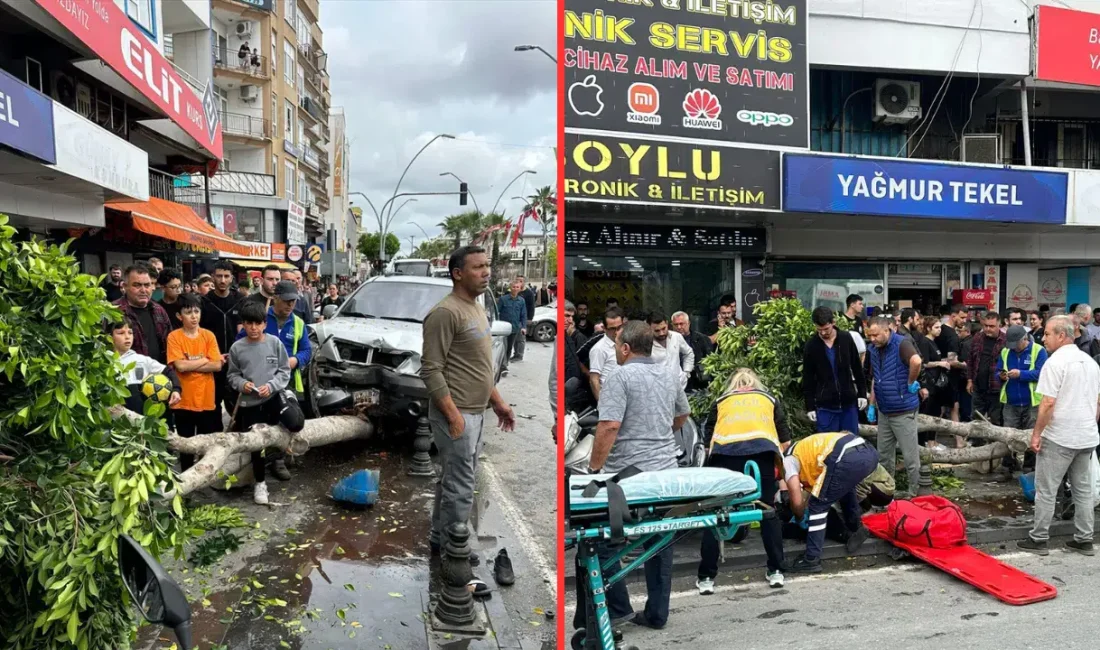 Antalya’nın Manavgat ilçesinde meydana gelen feci trafik kazasında ortalık savaş