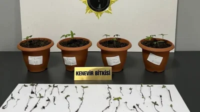 Samsun Emniyet Müdürlüğü ekiplerinin İlkadım, Atakum ve Çarşamba ilçelerinde gerçekleştirdiği