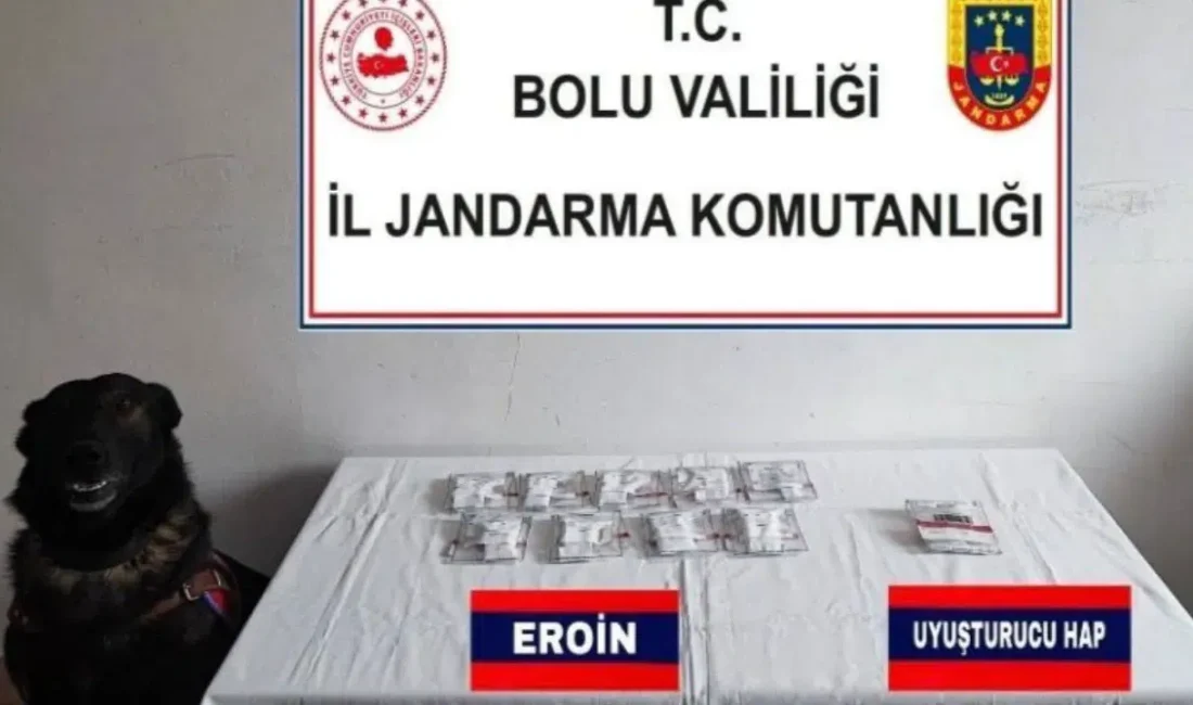 Bolu’da jandarma ekiplerinin gerçekleştirdiği titiz operasyonun detayları gün yüzüne çıktı.