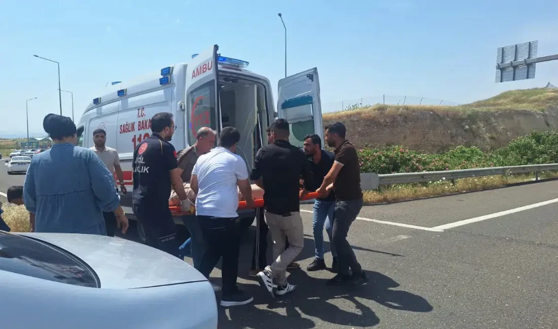 Şanlıurfa’nın Birecik ilçesinde iki otomobilin çarpışması sonucu meydana gelen feci