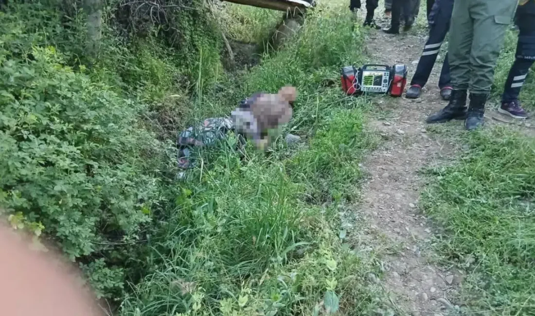 Malatya’nın Hekimhan ilçesinde, eşeğiyle bahçesine gitmek üzere evinden ayrılan 83