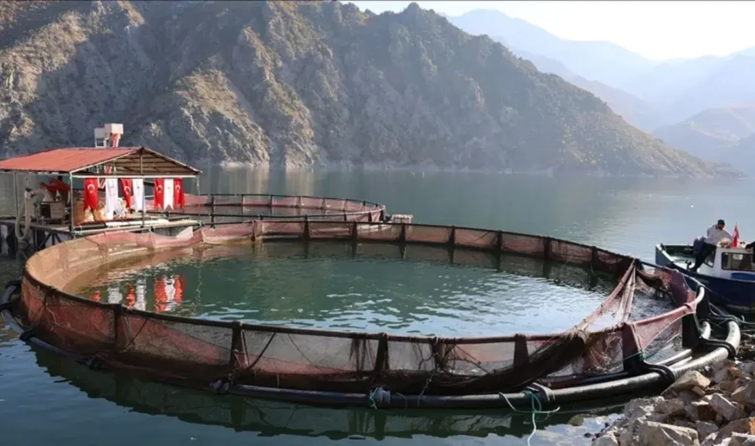 Artvin’de bulunan Türkiye’nin en yüksek ikinci barajı Deriner’de son yağışlar