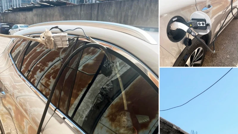 Şanlıurfa’da rutin denetim yapan elektrik dağıtım şirketi ekipleri, karşılaştıkları manzara