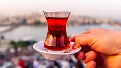 Tarım ve Orman Bakanlığı tarafından yapılan son gıda denetimleri, Türkiye’de