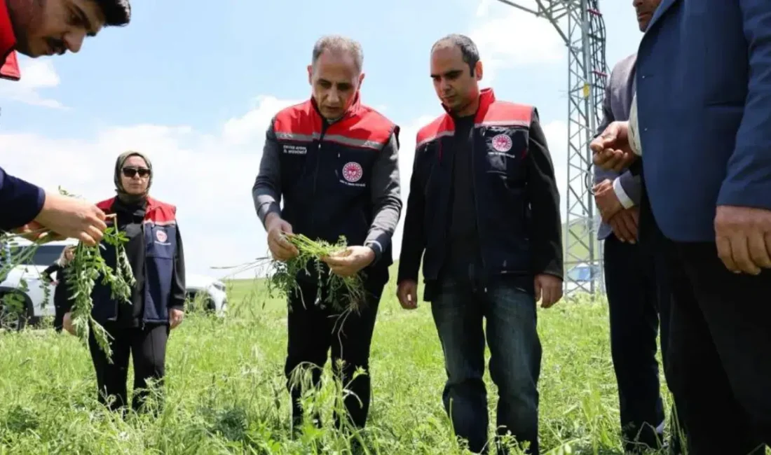 Kars’ın Akyaka ilçesinde aniden bastıran ve hayatı adeta durma noktasına