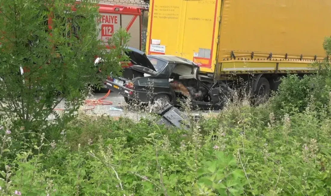 Samsun’un Bafra ilçesinde kontrolden çıkan bir otomobilin yol kenarında park