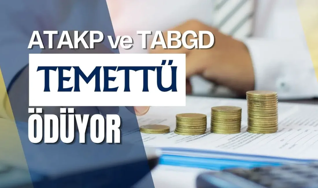 Borsa İstanbul’un iki güçlü şirketi Atakey Patates ve Tab Gıda,