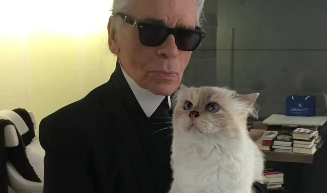 Moda dünyasının efsanevi ismi Karl Lagerfeld’in vefatının ardından kedisi Choupette’e