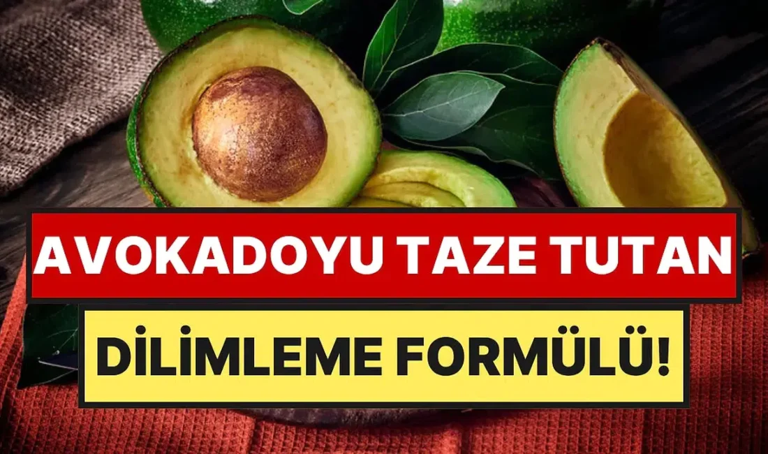 Mutfakta en hızlı kararan meyvelerin başında gelen avokadoyu ilk günkü
