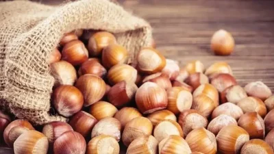 Karadeniz’in can damarı olan fındık piyasasında yaşanan sert fiyat düşüşleri