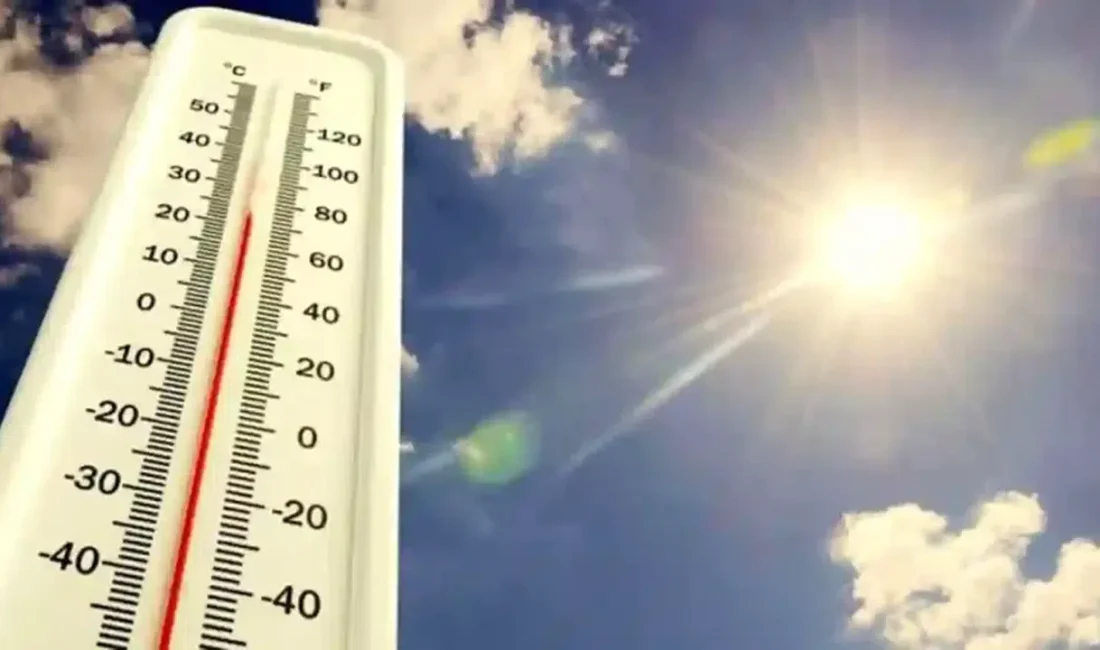 Almanya son yılların en zorlu yaz mevsimlerinden birini yaşarken, ülkede