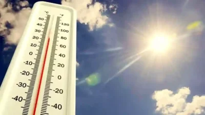 Almanya son yılların en zorlu yaz mevsimlerinden birini yaşarken, ülkede