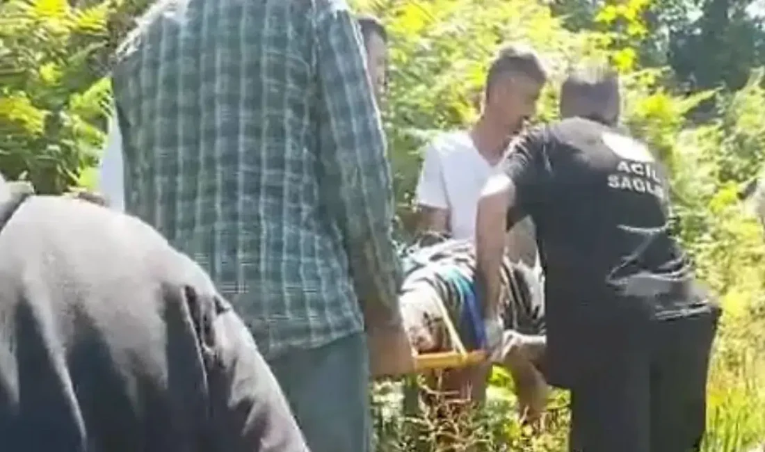 Rize’nin Pazar ilçesinde kiraz toplamak için çıktığı ağaçta dengesini kaybederek