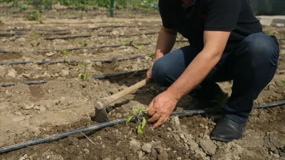 Türkiye genelinde binlerce kişiyi yakından ilgilendiren hobi bahçeleri düzenlemesi ve