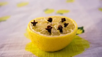 Yaz aylarının en büyük çilesi olan sivrisineklerden kimyasal kullanmadan kurtulmanın