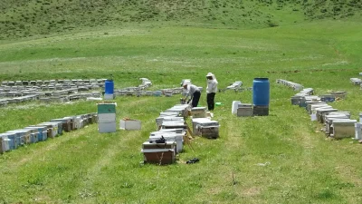 Muğla’nın Bodrum ilçesinden yola çıkarak Hakkari’nin Yüksekova ilçesindeki zengin yaylalara