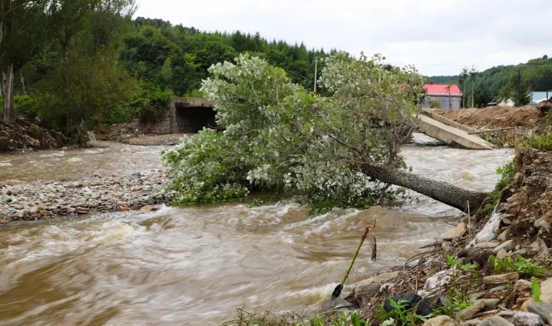 Meteoroloji Genel Müdürlüğü, peş peşe yaptığı son dakika açıklamasıyla tam