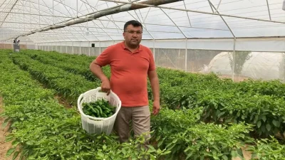 Manisa’nın Sarıgöl ilçesinde üretilen ve eşsiz lezzetiyle tescillenen coğrafi işaretli