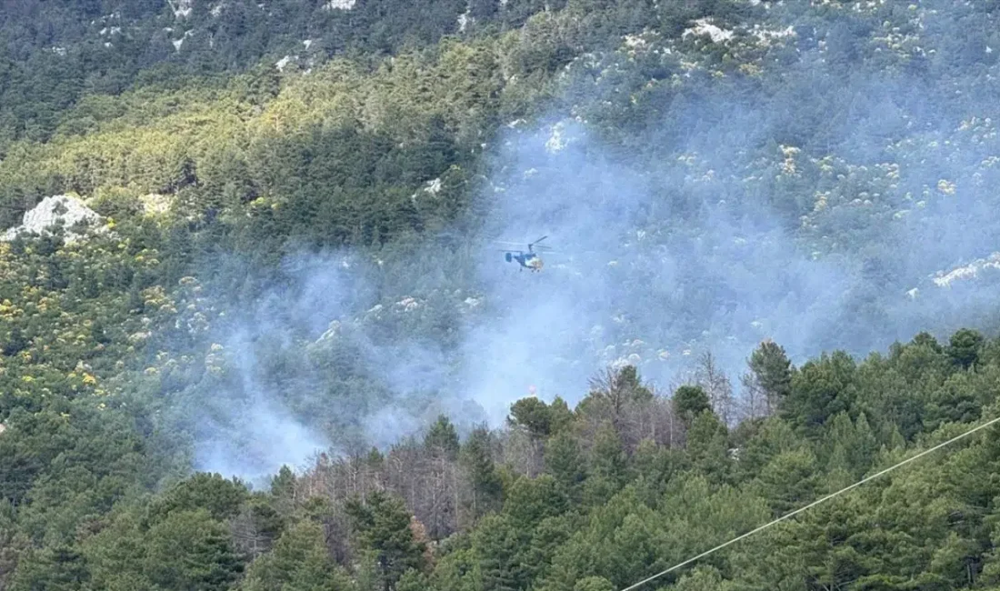Antalya’nın Kaş ilçesinde çıkan orman yangını rüzgarın da etkisiyle yayılırken,